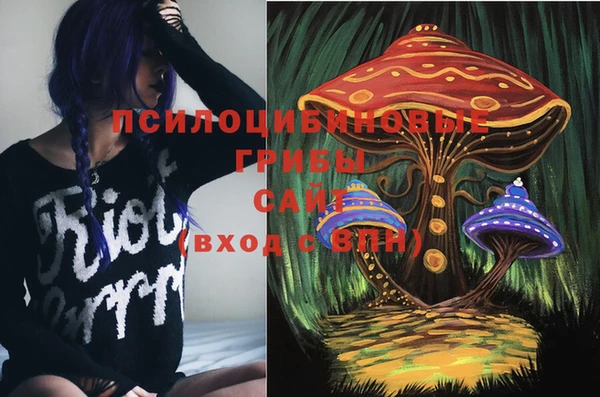 ALPHA PVP Алексин