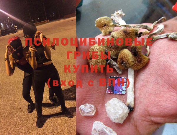 ALPHA PVP Алексин