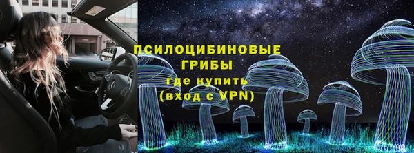 ALPHA PVP Алексин
